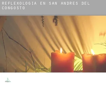 Reflexología en  San Andrés del Congosto
