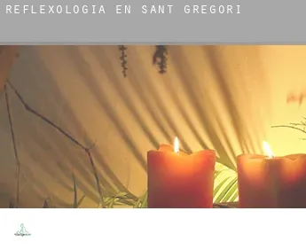Reflexología en  Sant Gregori