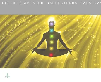 Fisioterapia en  Ballesteros de Calatrava