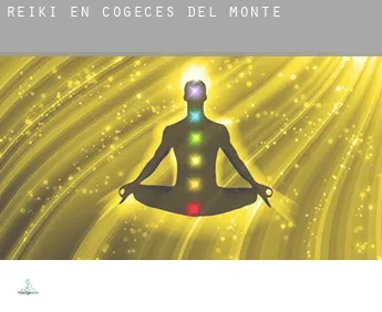 Reiki en  Cogeces del Monte