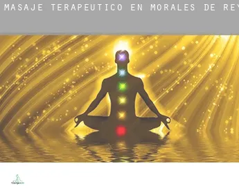 Masaje terapeútico en  Morales de Rey