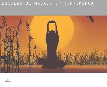Escuela de masaje en  Torremenga
