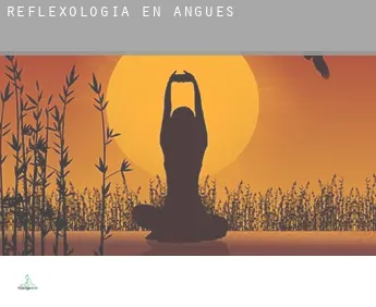 Reflexología en  Angüés