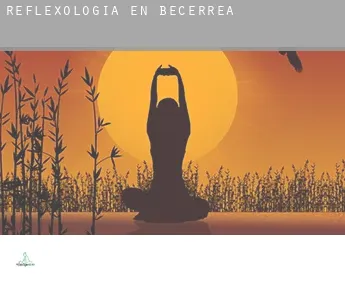 Reflexología en  Becerreá