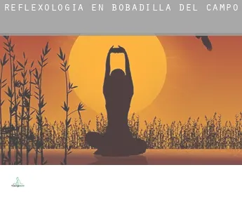 Reflexología en  Bobadilla del Campo