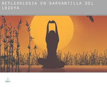 Reflexología en  Gargantilla del Lozoya y Pinilla de Buitrago
