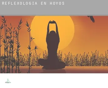 Reflexología en  Hoyos