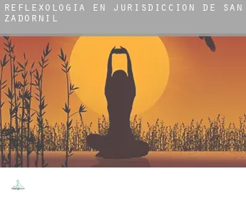 Reflexología en  Jurisdicción de San Zadornil