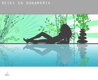 Reiki en  Donamaria