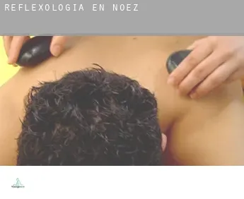 Reflexología en  Noez