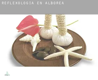 Reflexología en  Alborea
