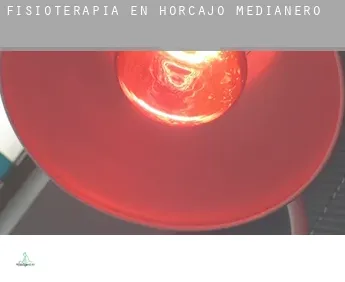 Fisioterapia en  Horcajo Medianero