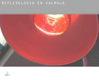 Reflexología en  Valmala