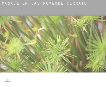 Masaje en  Castroverde de Cerrato