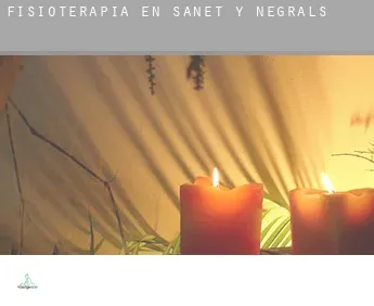 Fisioterapia en  Sanet y Negrals