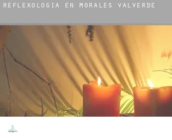 Reflexología en  Morales de Valverde