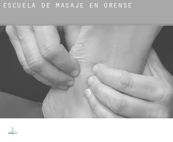 Escuela de masaje en  Orense