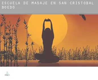 Escuela de masaje en  San Cristóbal de Boedo