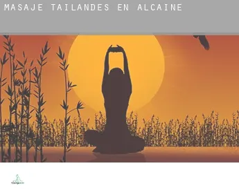 Masaje tailandés en  Alcaine