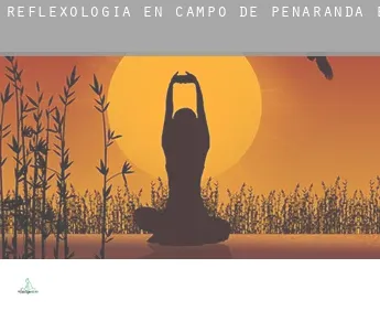 Reflexología en  Campo de Peñaranda (El)