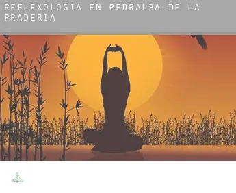 Reflexología en  Pedralba de la Pradería