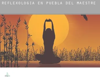 Reflexología en  Puebla del Maestre