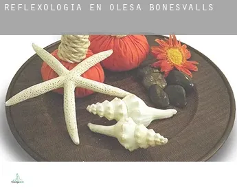 Reflexología en  Olesa de Bonesvalls