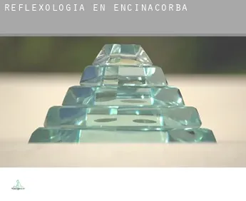 Reflexología en  Encinacorba