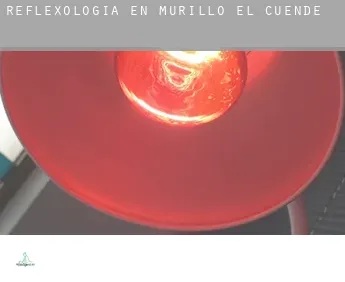 Reflexología en  Murillo el Cuende