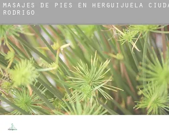 Masajes de pies en  Herguijuela de Ciudad Rodrigo