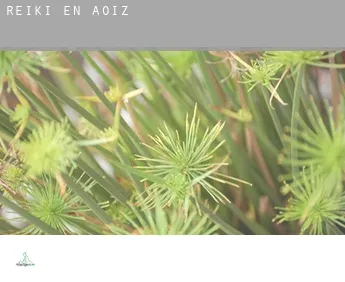 Reiki en  Aoiz / Agoitz