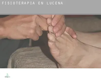 Fisioterapia en  Lucena