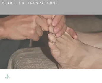 Reiki en  Trespaderne