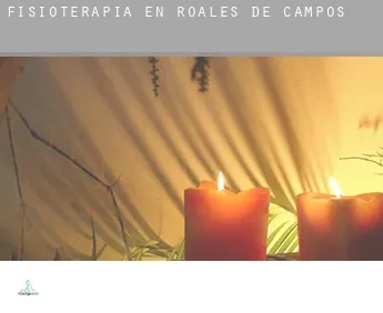 Fisioterapia en  Roales de Campos