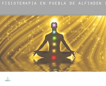 Fisioterapia en  Puebla de Alfindén (La)