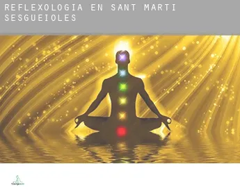 Reflexología en  Sant Martí Sesgueioles