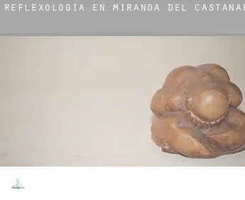 Reflexología en  Miranda del Castañar