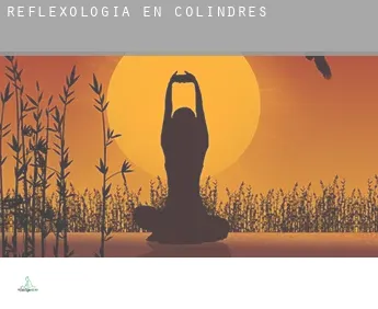 Reflexología en  Colindres