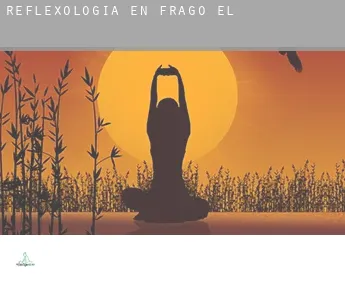 Reflexología en  Frago (El)