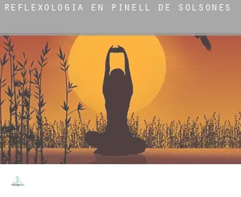 Reflexología en  Pinell de Solsonès
