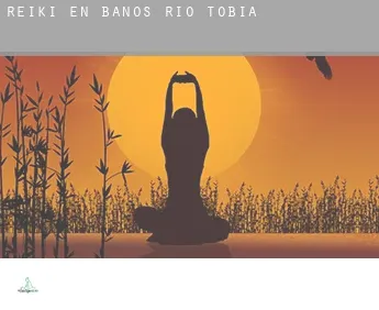 Reiki en  Baños de Río Tobía