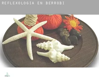 Reflexología en  Berrobi