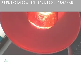 Reflexología en  Gallegos de Argañán