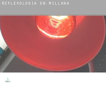 Reflexología en  Millana