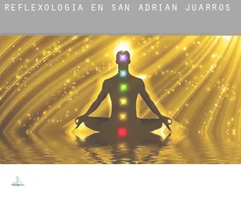 Reflexología en  San Adrián de Juarros