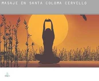 Masaje en  Santa Coloma de Cervelló