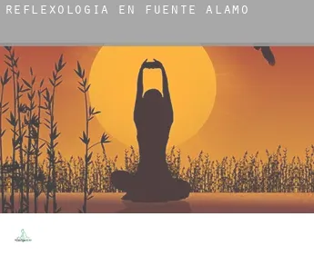 Reflexología en  Fuente-Álamo