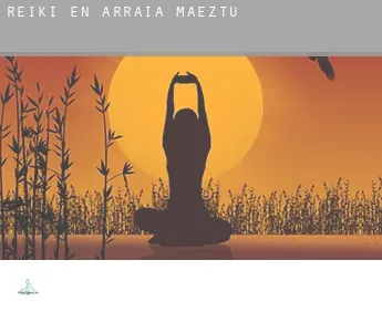 Reiki en  Arraia-Maeztu