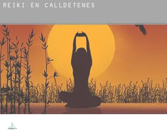 Reiki en  Calldetenes