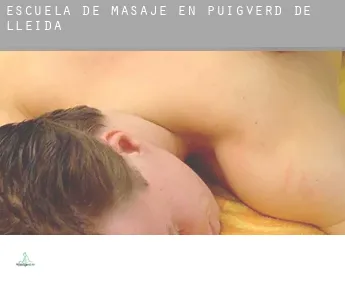 Escuela de masaje en  Puigverd de Lleida